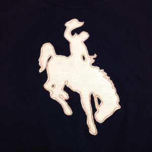 Rodeo cowboy on bucking horse embroidery and appliqué design
