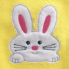 bunny raw edge appliqué