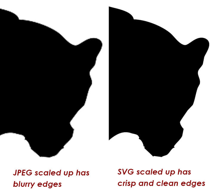 SVG vs JPG image