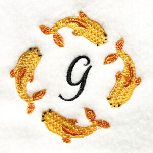 Goldfish swimming in circle