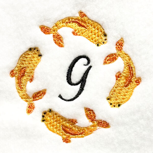 Goldfish swimming in circle