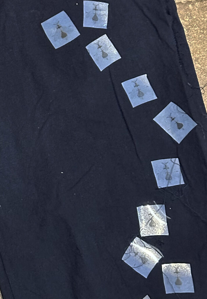 placement of fireflies on pants